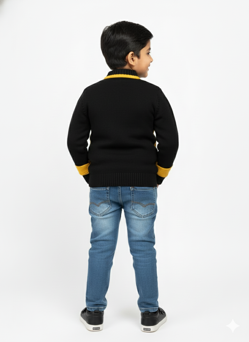 Full Sleeves, Zip Sweater For Boy