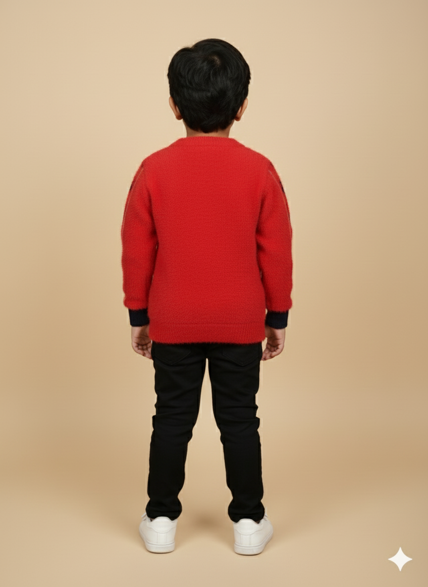 Ferrari Themed Sweater For Boy