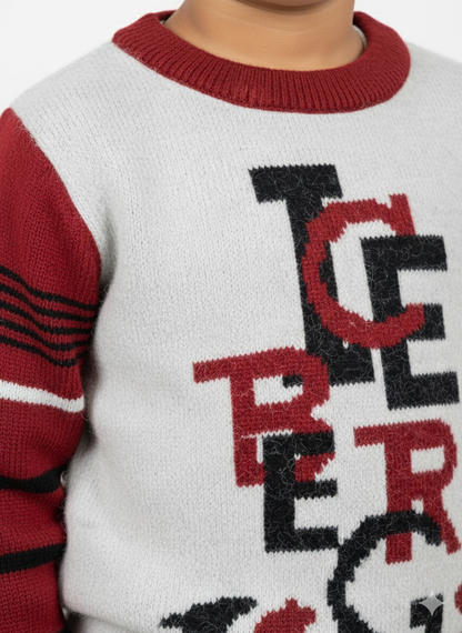 Full Sleeves Sweater For Boy