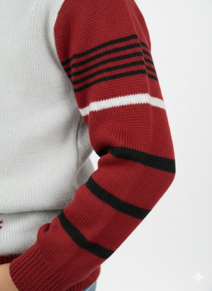 Full Sleeves Sweater For Boy