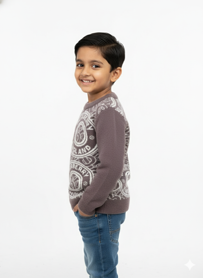 Premium Burberry kids sweater