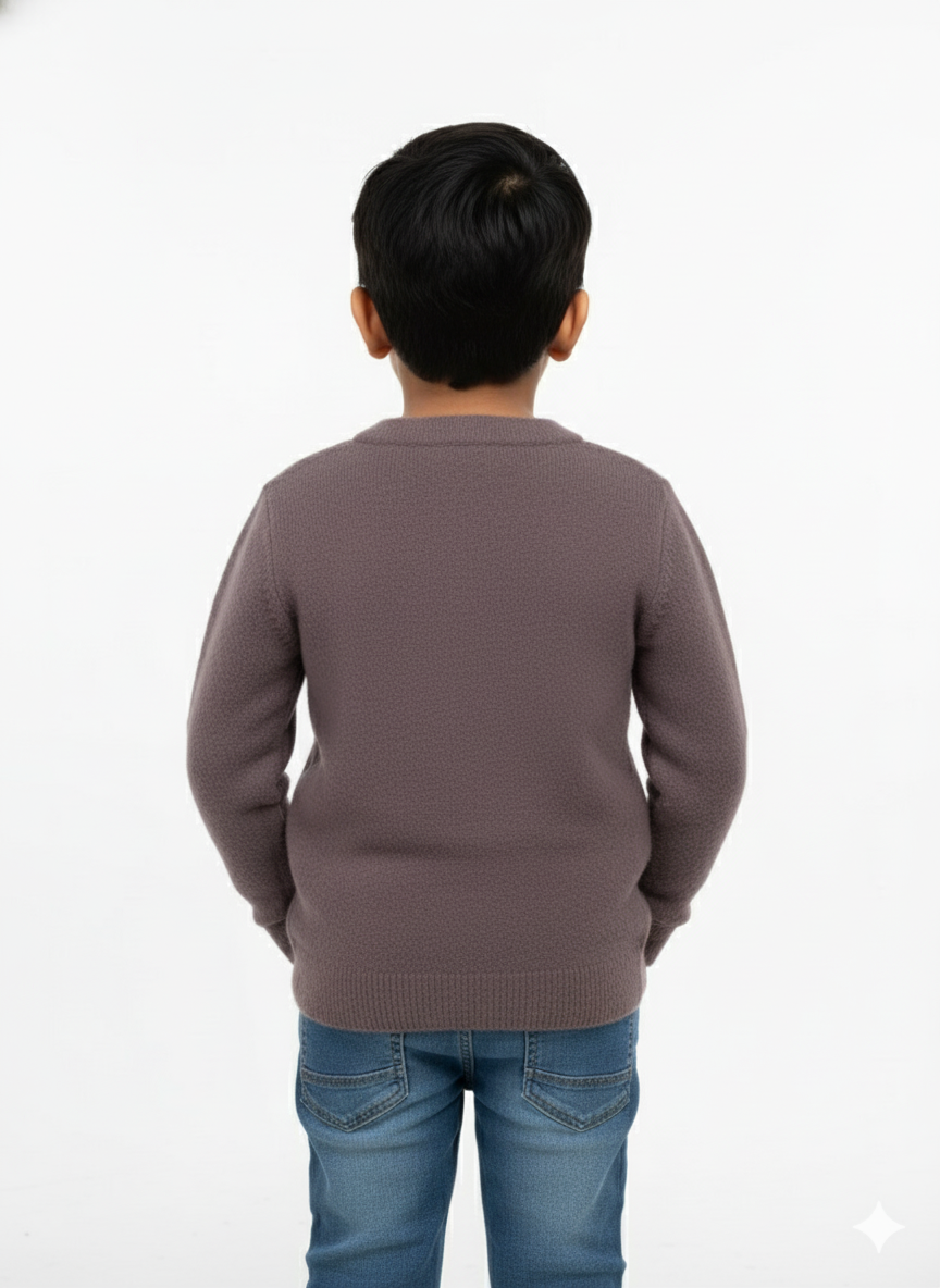 Premium Burberry kids sweater